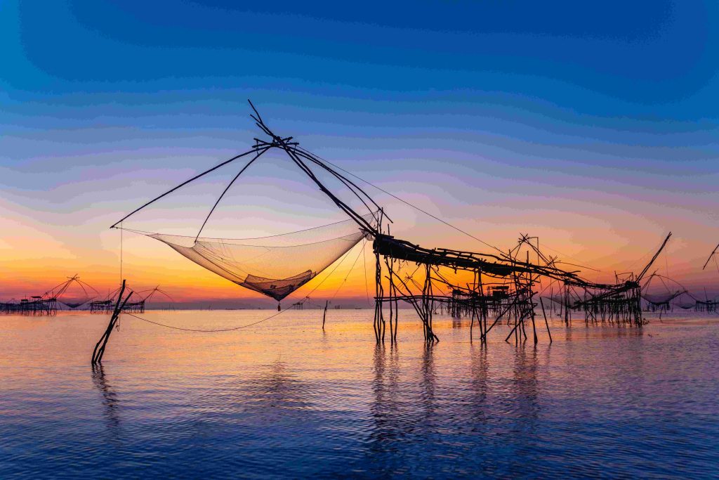 Image of Kochi Chinese net showing the tourism advantages of investing in Kochi real estate
