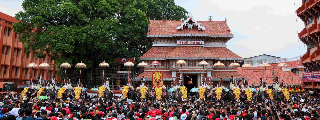 Best places in thrissur-image of thrissur pooram
